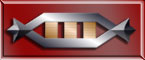 Captain's Merit Award