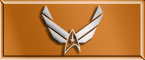 Departmental Commendation: Auxiliary Craft/Fighter Pilots